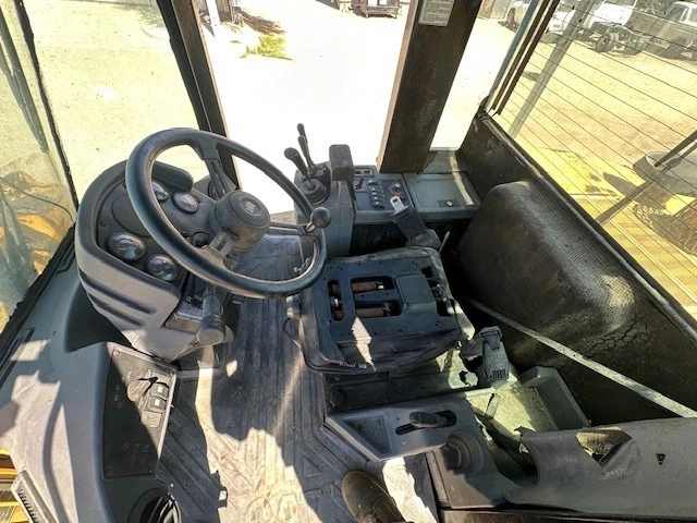 Cat 10