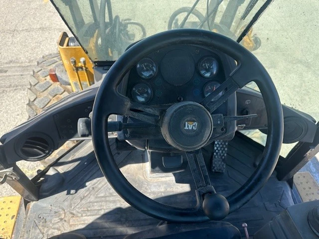Cat 12