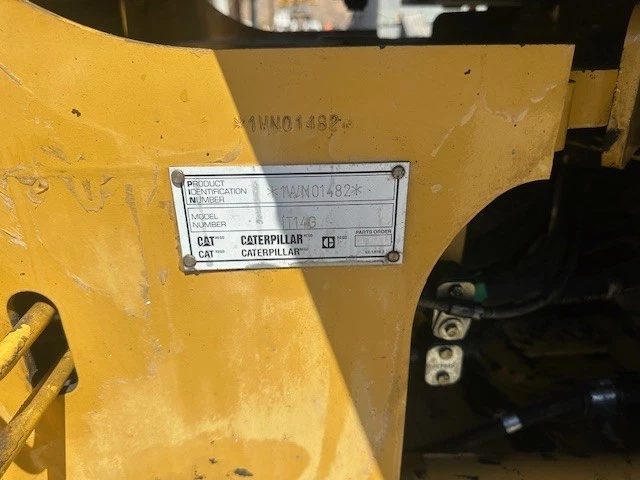 Cat 13