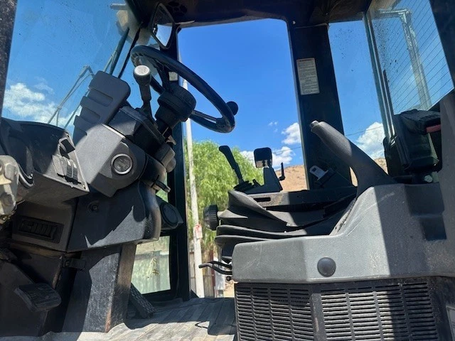 Cat 14