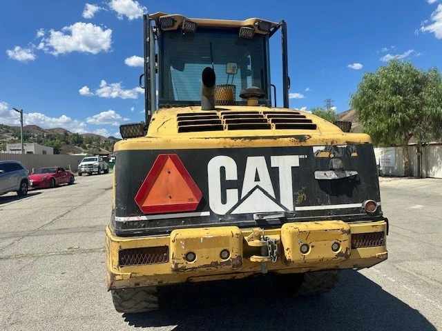 Cat 8
